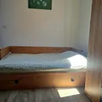 Big Apartmant With Free Parking
