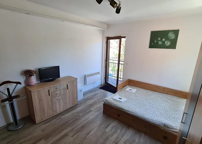 Big Apartmant With Free Parking Sibenik