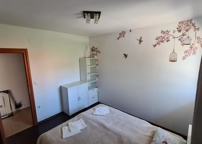 Big Apartmant With Free Parking Apartman